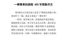高中的旅途_400字
