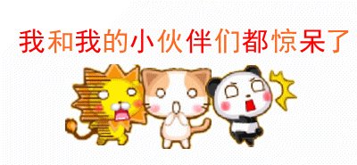 我的小伙伴