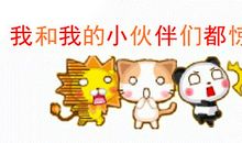 我的小伙伴