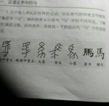 专用于我丢失的_450字