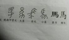 献给我所丢失的_450字