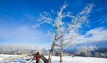 感谢冬日那场雪_1200字