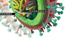 关注甲型H1N1流感_550字