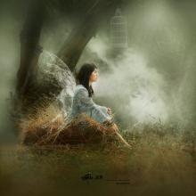 [七月的向往]我向往自由_1500个单词