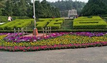 缅怀先烈珍惜当下_250字