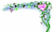 关于七夕的作文：葡萄架下话七夕_50字