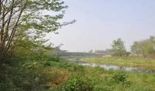 生命是久经传唱的歌