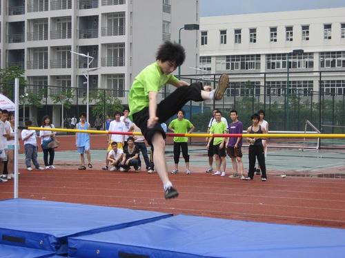 首次参加运动会_600字