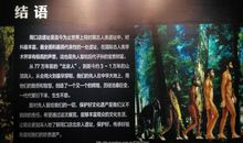 我从远古走来——鲸的自述_1200字