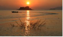 晨日、午日、落日_550字