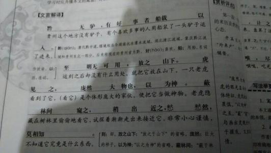 写高中_800字