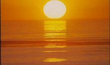 西边升起的太阳_800字