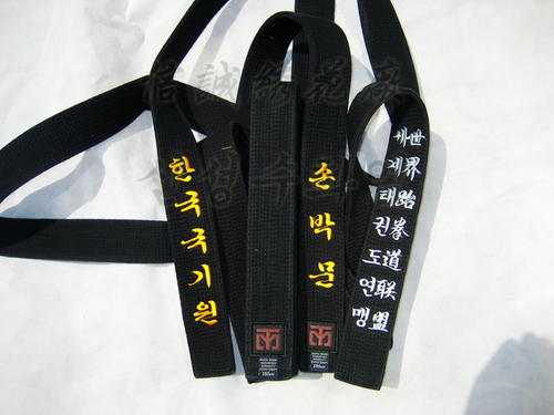跆拳道_800字