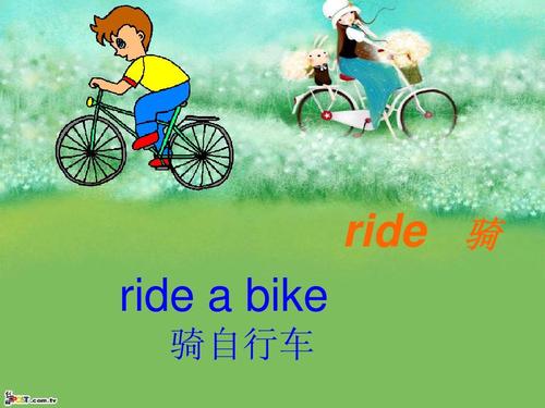 我的自行车