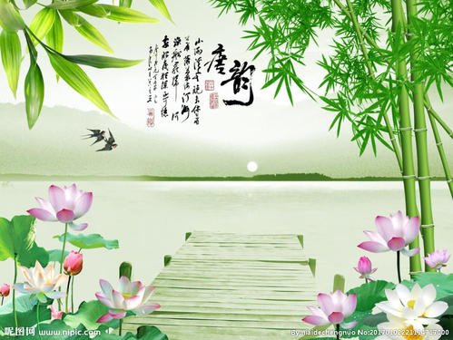 我喜欢莲花_550字