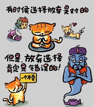 聪明的猫_450字