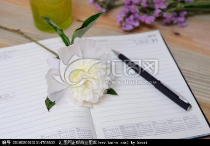 Flowers_400字