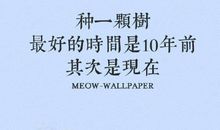 成功来源于平淡的坚持