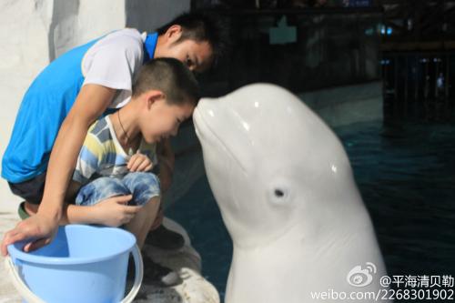 我们所有人都会度过美好时光_900字