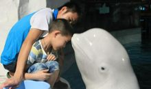 我们都会过得很好_900字