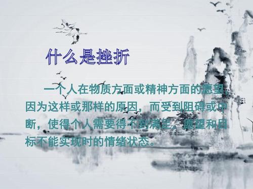 伴随挫折的成功_800字