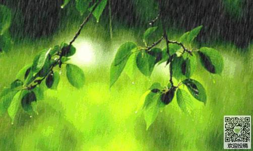 风景构成：spring_1500话中下雨