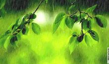 写景作文：春天的雨_1500字