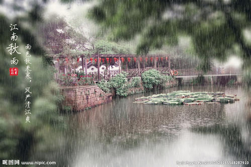 秋雨_100字