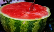 My favourite fruit我最喜欢的水果