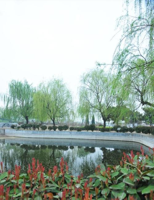 为王伦改写