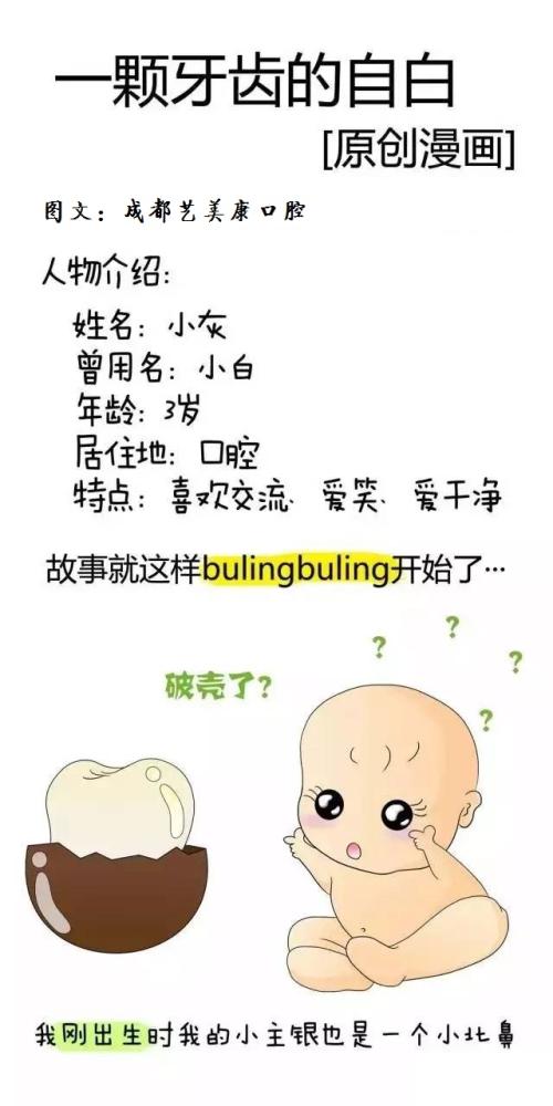 牙齿的叙述