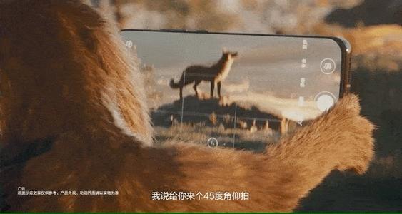 有张有池，精彩人生_700字