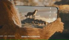 有张有弛，精彩人生_700字