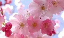 有得有失，才是人生_700字