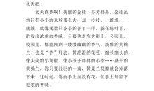 考试（严帝鑫）_350字