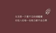 青年节鼓励青年励志句子_3000字