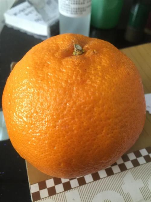 我最喜欢的橘皮香精_450个单词
