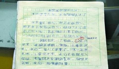 小学二年级作文：姐姐《翡翠》 _1200字