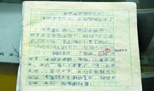 初二写人作文：姐姐的“绿宝石”_1200字