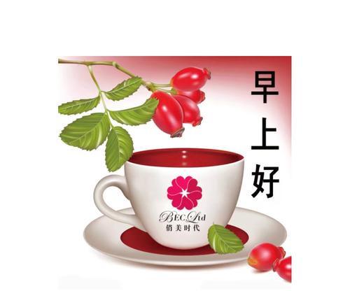 [七月的向往]我向往恒久的800字
