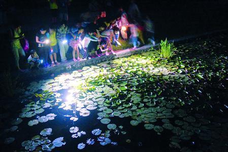 人民公园夜游
