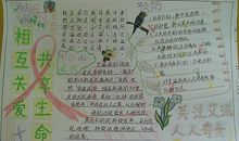 世界艾滋病日手抄报：关注艾滋 人人有责_20字