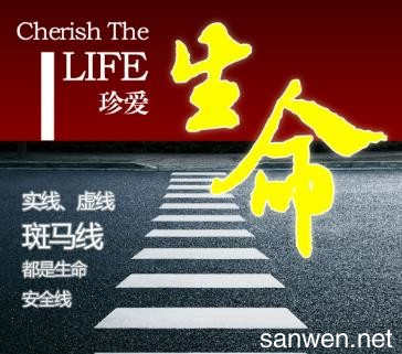 观察交通，珍惜生命_750字