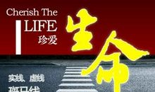 遵守交通，珍惜生命_750字