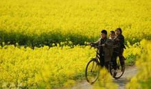 童年、故乡_1500字