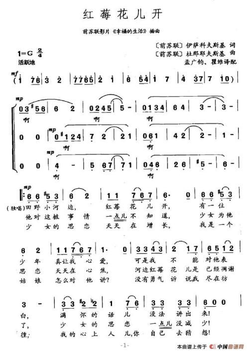 快乐一集_700字