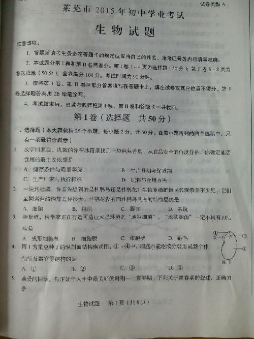 2017山东聊城高中入学考试满分：这是青年