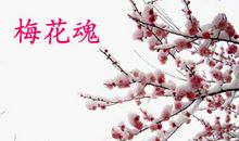 梅花魂