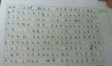 怎样的新同学作文