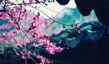 面子与尊严_1000字